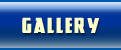 Grayslake IL Boat Show Gallery